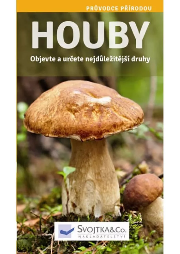 autor neuvedený - Houby - Objevte a určete nejdůležitější druhy