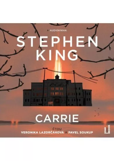 Carrie (1x Audio na CD - MP3)