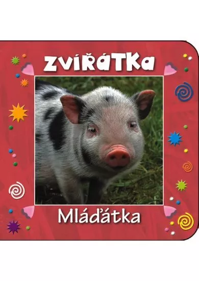 Zvířátka - Mláďátka