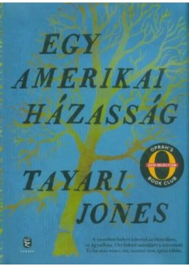 Tayari Jones - Egy amerikai házasság
