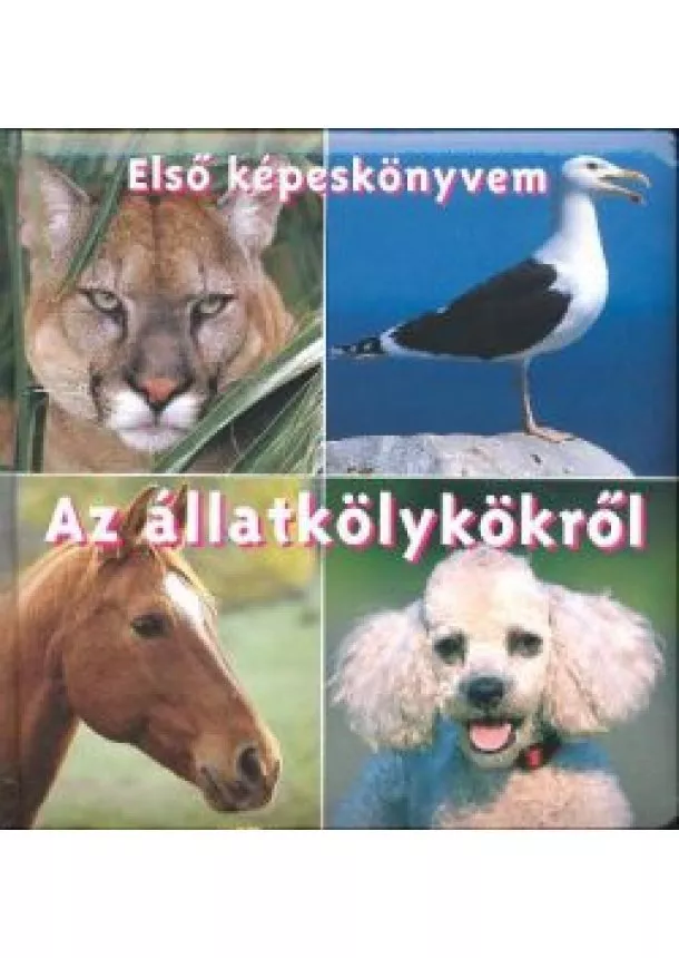 Lapozó - Első képeskönyvem az állatkölykökről