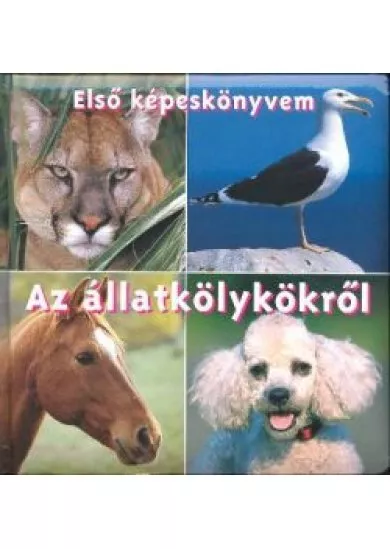 Első képeskönyvem az állatkölykökről