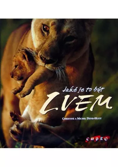 Jaké je to být lvem