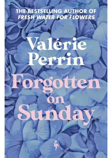 Forgotten on Sunday