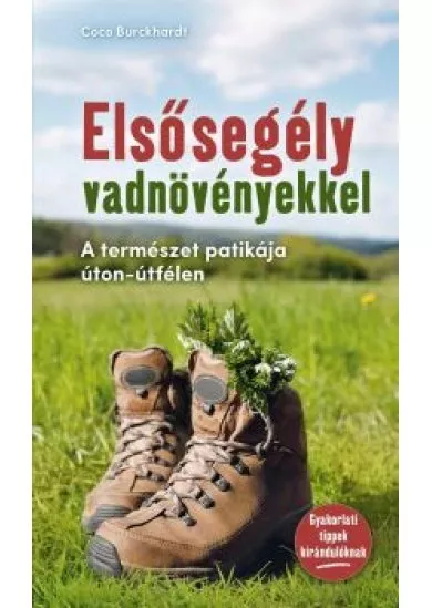 Elsősegély vadnövényekkel - A természet patikája úton-útfélen
