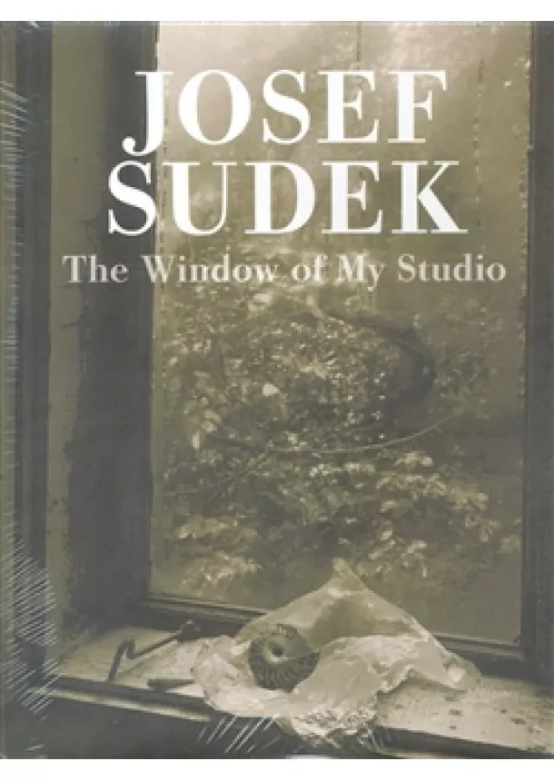 Josef Sudek - The Window of My Studio