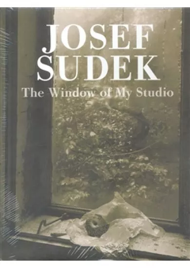 The Window of My Studio