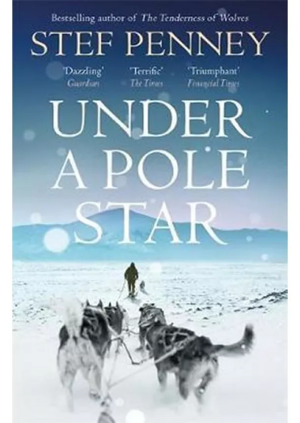Stef Penney - Under a Pole Star