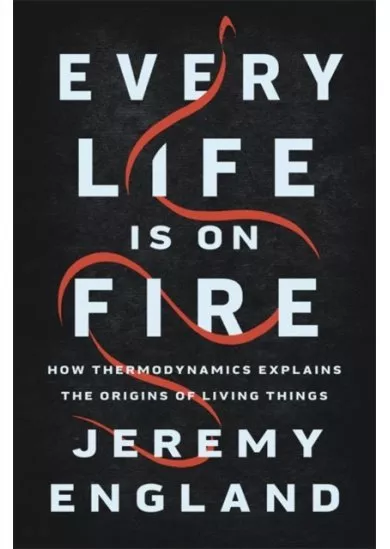 Every Life Is on Fire