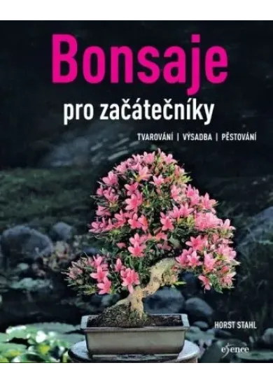 Bonsaje pro začátečníky