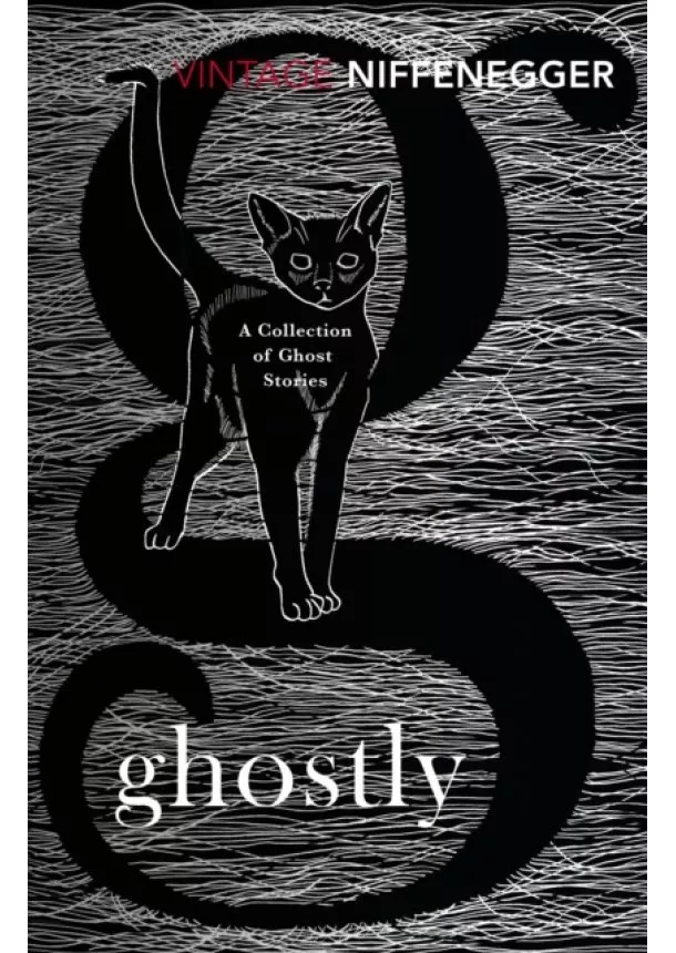 Audrey Niffenegger - Ghostly