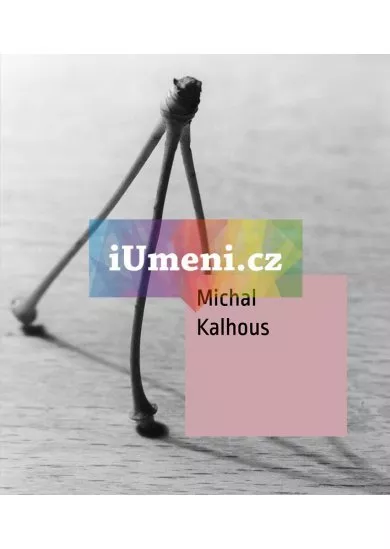 Michal Kalhous