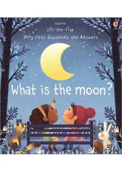 What is the Moon?