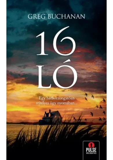 16 ló