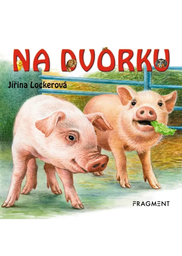 Na dvorku