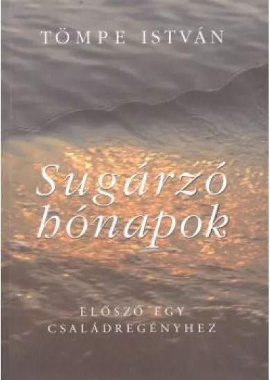 SUGÁRZÓ HÓNAPOK /ELŐSZÓ EGY CSALÁDIREGÉNYHEZ