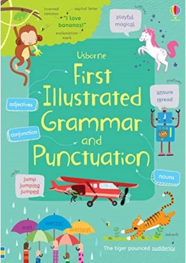 Jane (EDFR) Bingham - First Illustrated Grammar and Punctuation