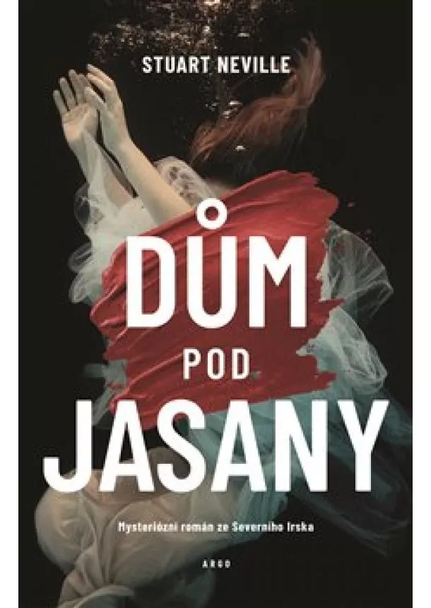 Stuart Neville - Dům pod jasany