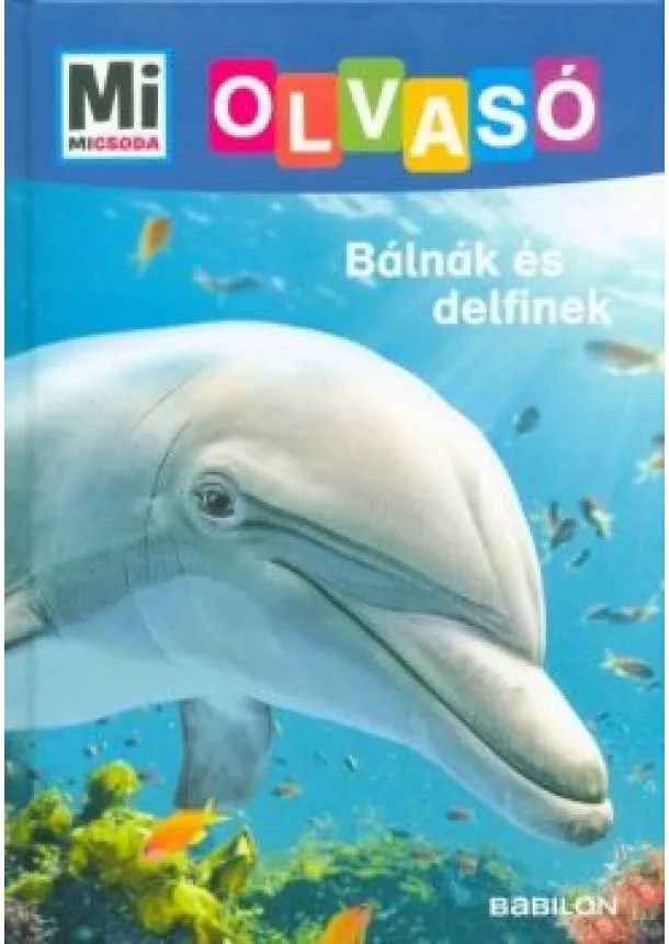 Christina Braun - Bálnák és delfinek - Mi MICSODA Olvasó