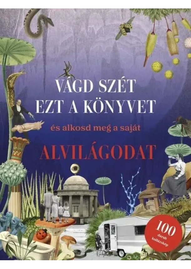 Eliza Scott - Vágd szét ezt a könyvet, és alkosd meg a saját Alvilágodat - Kollázskönyv