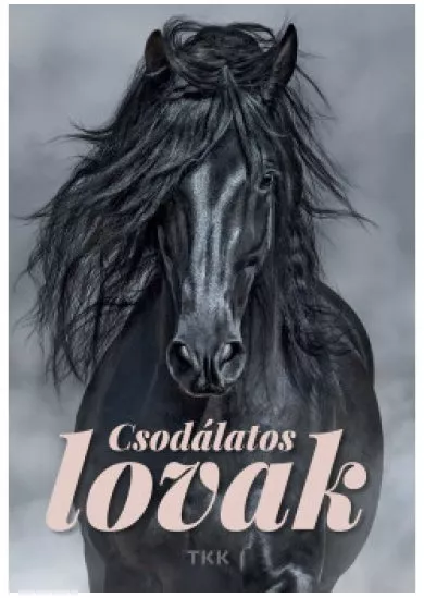 Csodálatos lovak