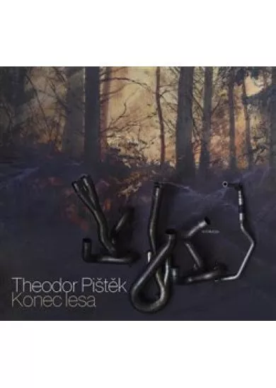 Konec lesa
