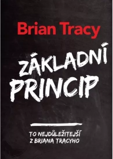 Základní princip