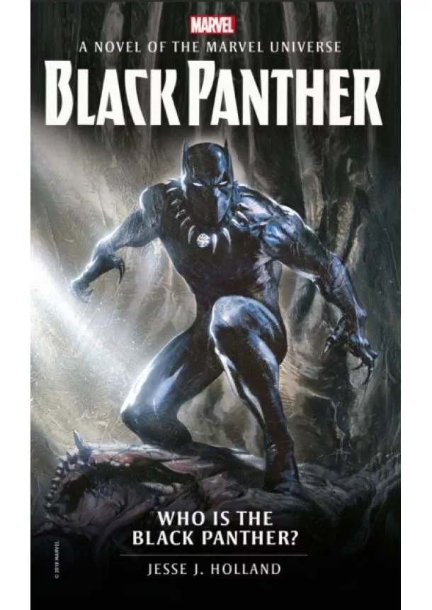 Jesse J. Holland - Marvel novels Who is the Black Panther