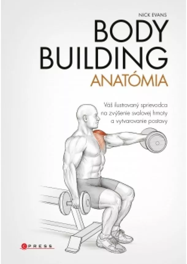Nick Evans - Bodybuilding - anatómia
