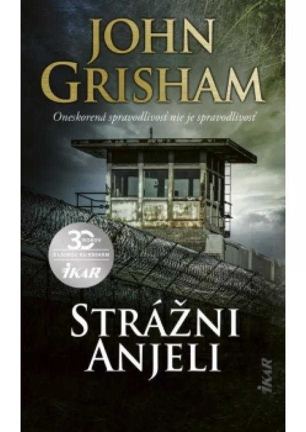 John Grisham - Strážni anjeli