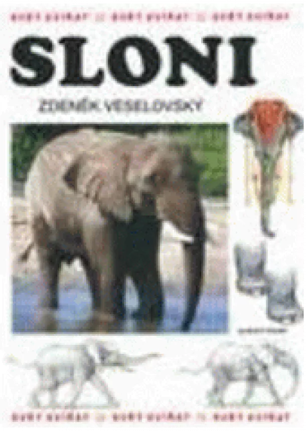 Zdeněk Veselovský - Sloni