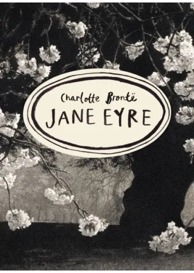 Jane Eyre (Vintage Classics Bronte Series)