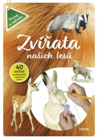 Zvířata našich lesů - Vědomosti i zábava