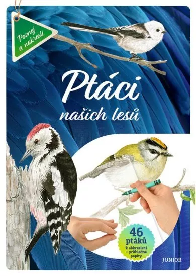 Ptáci našich lesů - 46 ptáků k obkreslení + průhledné papíry