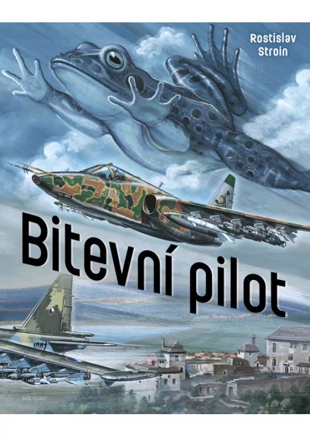 Rostislav Stroin - Bitevní pilot