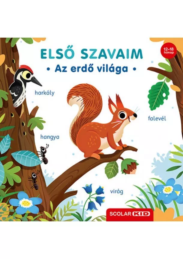 Cornelia Frank - Első szavaim - Az erdő világa