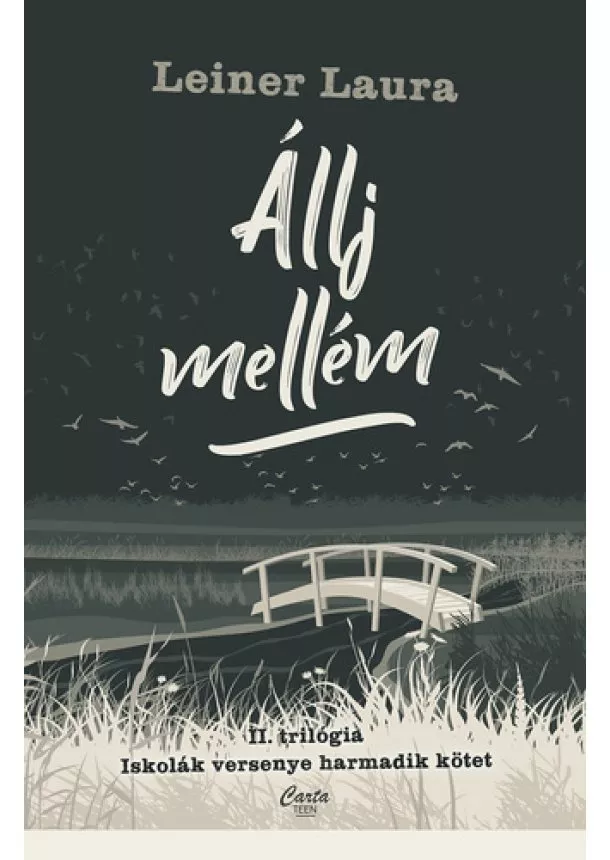 Leiner Laura - Állj mellém - II. trilógia - Iskolák versenye - harmadik kötet