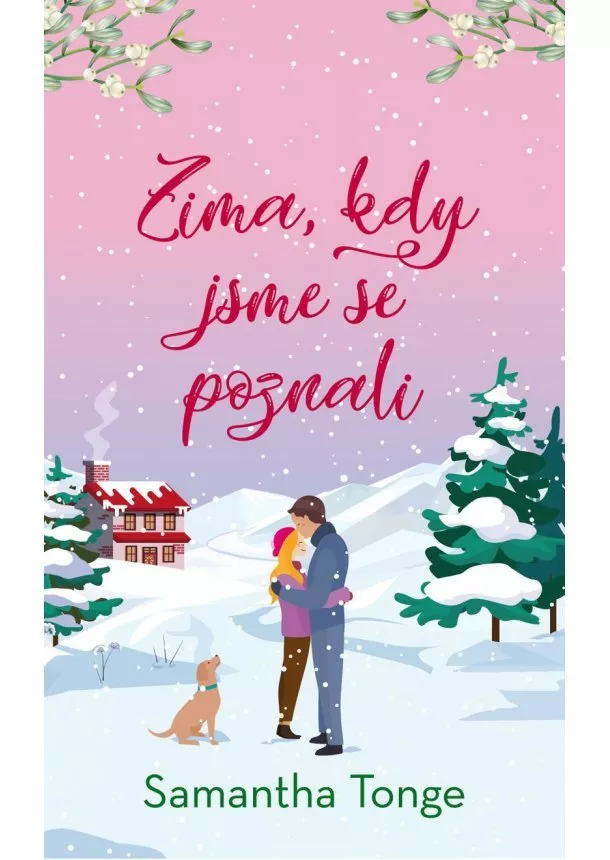 Samantha Tonge - Zima, kdy jsme se poznali