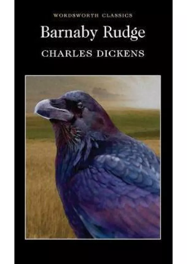 Charles Dickens - Barnaby Rudge