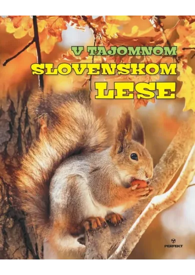 V tajomnom slovenskom lese
