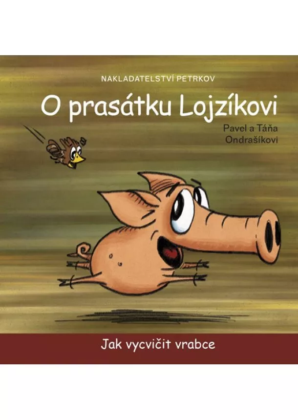 Pavel a Táňa Ondrašíkovi - O prasátku Lojzíkovi - Jak vycvičit vrabce (22x22 cm)