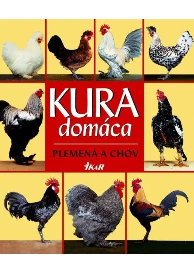 Kura domáca - plemená a chov