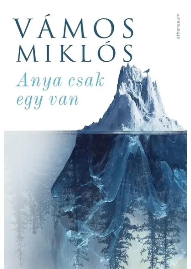 Vámos Miklós - Anya csak egy van (új kiadás)