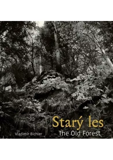 Starý les / The Old Forest