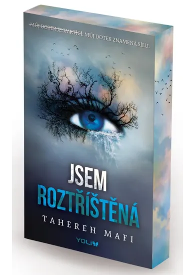 Jsem roztříštěná