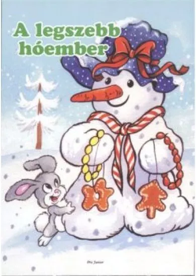 A LEGSZEBB HÓEMBER