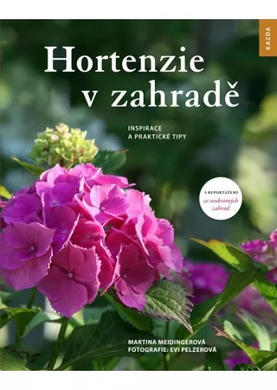 Hortenzie v zahradě - Inspirace a prakti