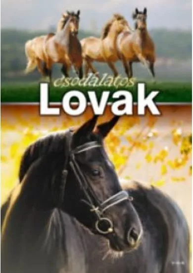 Csodálatos lovak