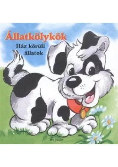 ÁLLATKÖLYKÖK: HÁZ KÖRÜLI ÁLLATOK /LEPORELLÓ