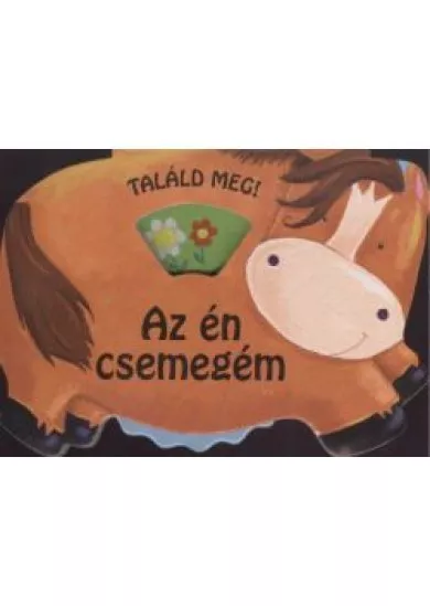 AZ ÉN CSEMEGÉM /TALÁLD MEG!
